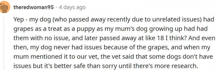 Some people remember their parents giving puppies grapes as treats.