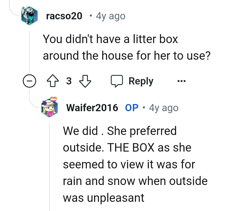 The OP says that the cat prefers to go outside to do her business