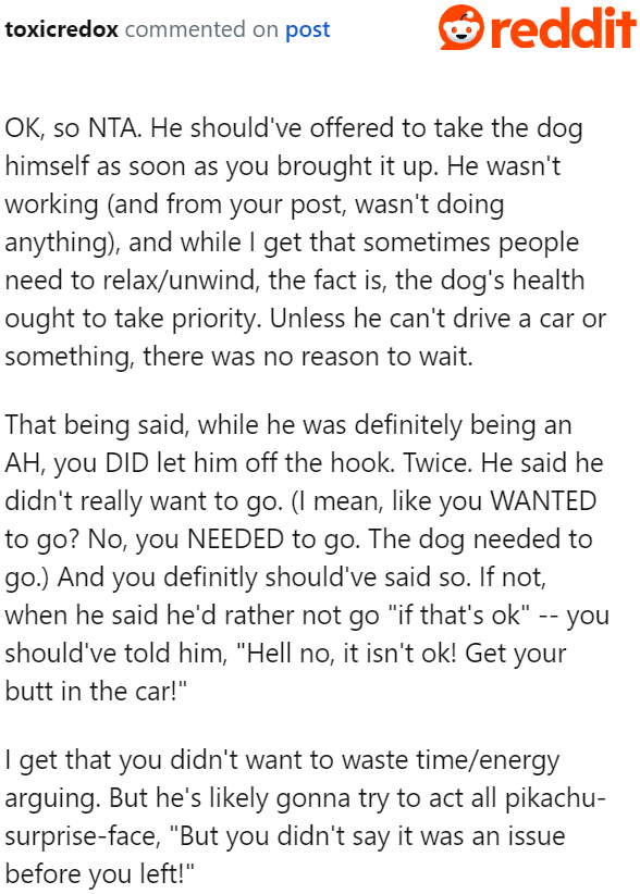 The OP had to work at the time, but her husband was free and could have taken the dog to the emergency vet.