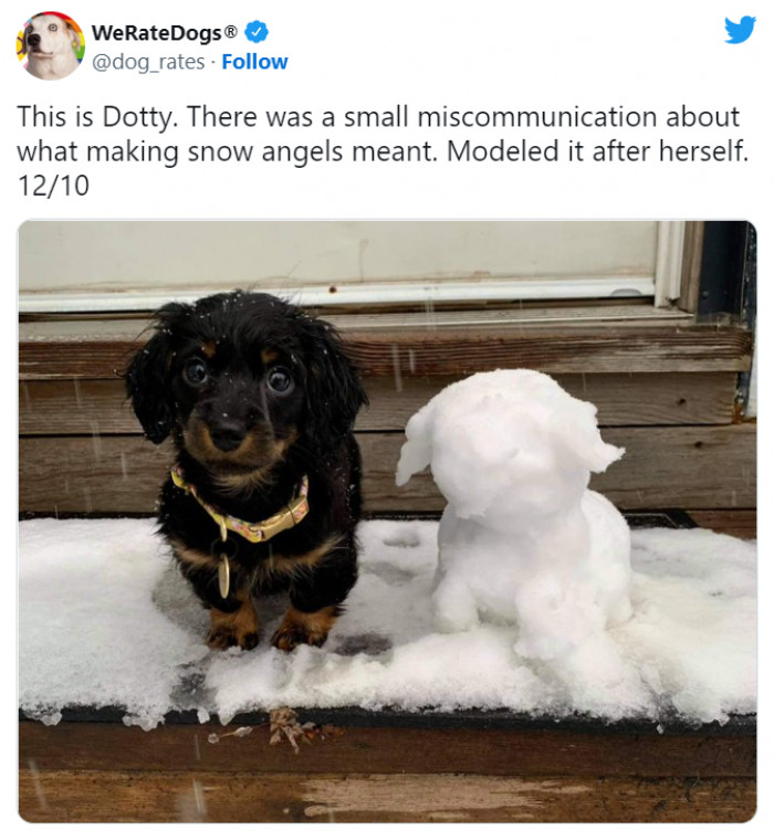 5. Angels are here on Earth, and Dotty right here has proven it.