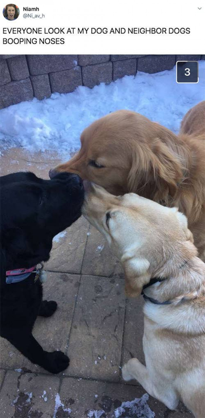 17. They're PURE, for crying out loud.