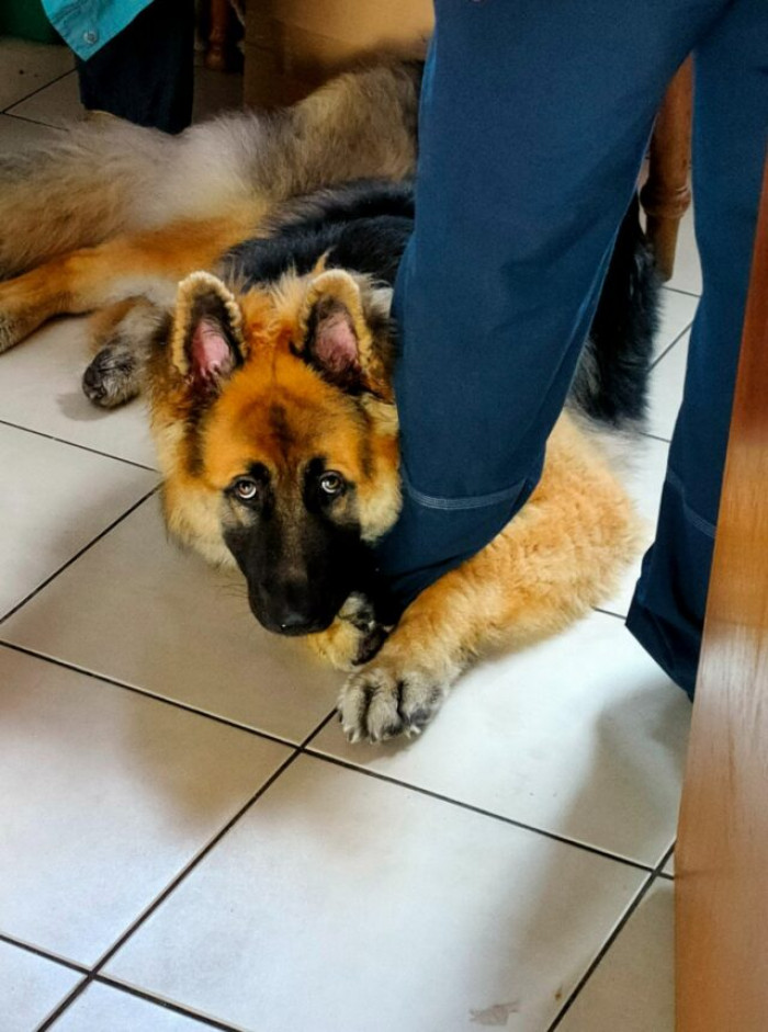 28. “You are not going out without me!!!”