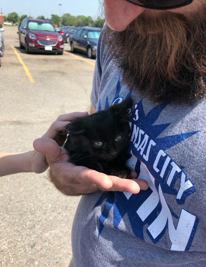 "We Saved This Little Fella In The Mall Parking Lot. Was Super Tough To Catch, But Once He Got Into My Hand He Chilled Out Immediately"