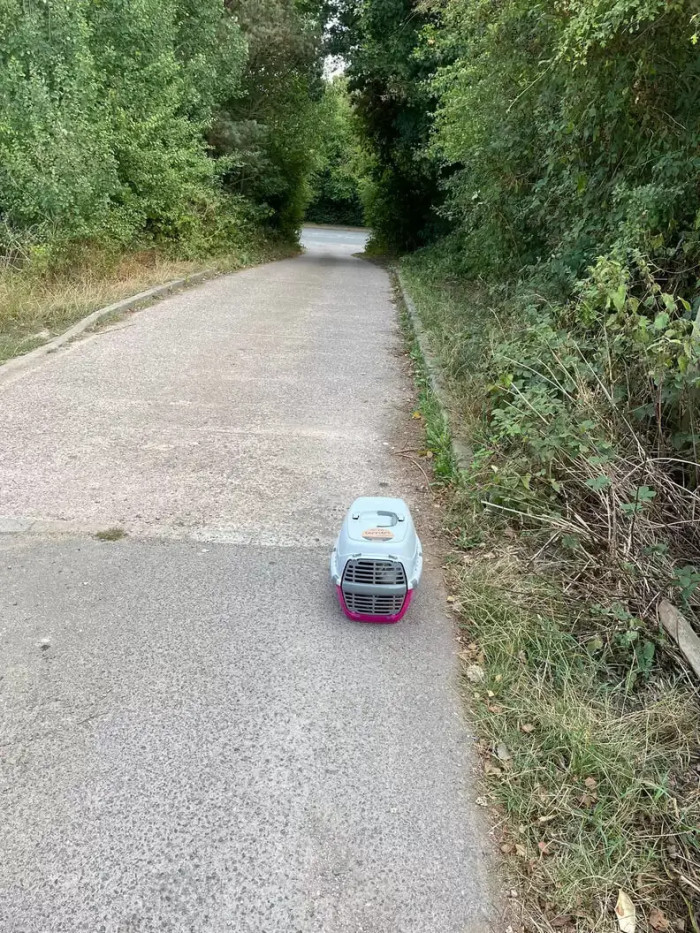 The RSPCA’s Coventry Animal Centre was shocked to see an abandoned cat carrier in their driveway