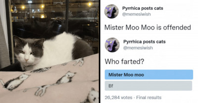 The Internet Picks Sides After Boyfriend Blames Cat For Farting