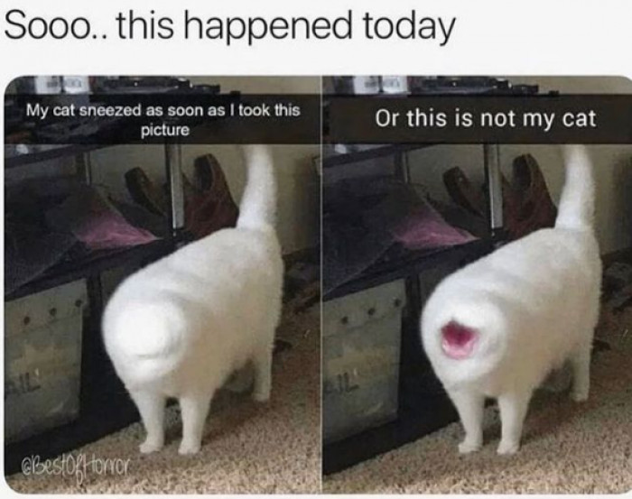 20. Not sure what this is, but it looks like devil's work.