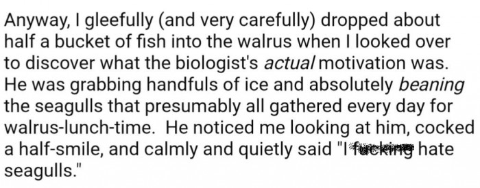 Apparently, the keeper had ulterior motives for letting her feed the walrus