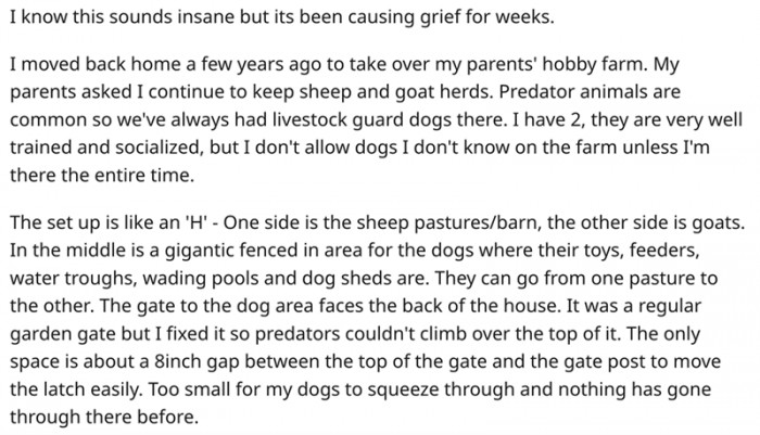 Definitely Sounds Insane