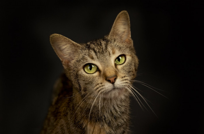 We Hope All of Them Will Soon...