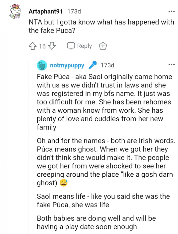 13. Both babies are doing well and will be having a play date