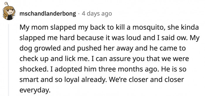Dogs are hyper-aware of their owners, aren't they? They pay attention to our state and check on us if we're okay.
