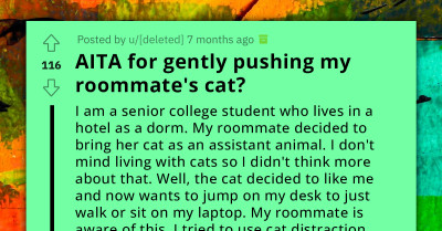 Woman Moves Roommate's Pesky Cat Off Her Desk, Gets Warning From Roommate Who Won't Bother To Train The Cat