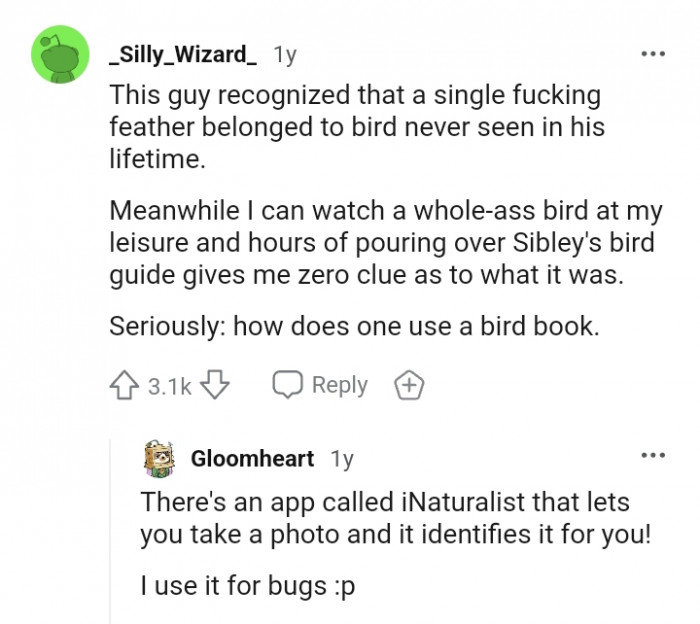How does one use a bird book?