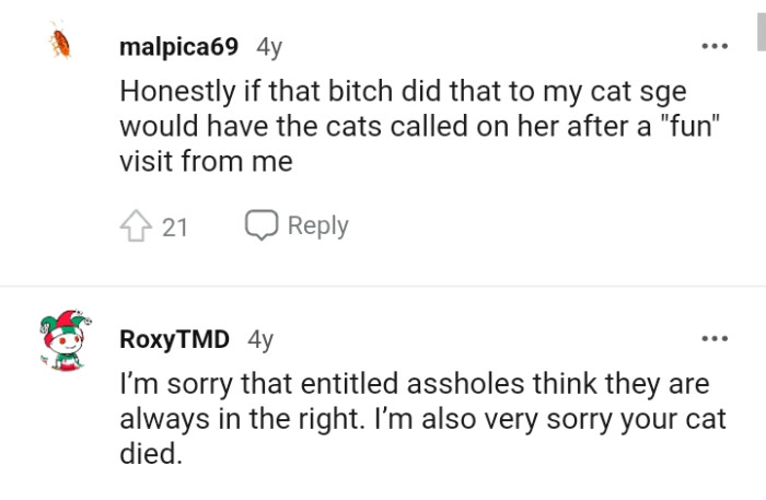This Redditor would pay the Karen a fun visit if she did this to their cat