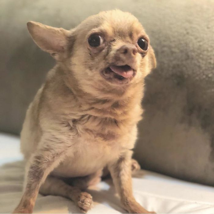 13. “Old Man Bruno, 12 Ish, Doin A Glamour Shot”