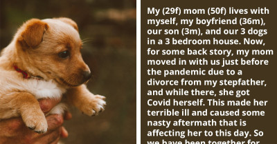 Woman Doesn't Want to Let Her Mother Get a Puppy While She Is in Her House