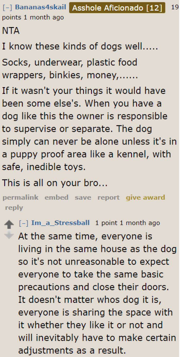 This pet needs more supervision.