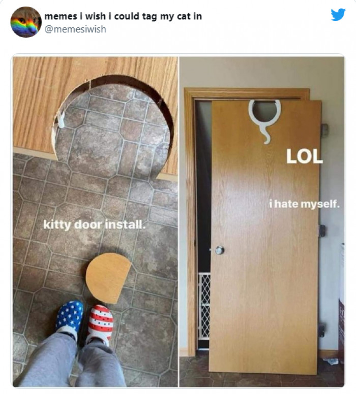 5. I just wanted to do something awesome for my purr-friend