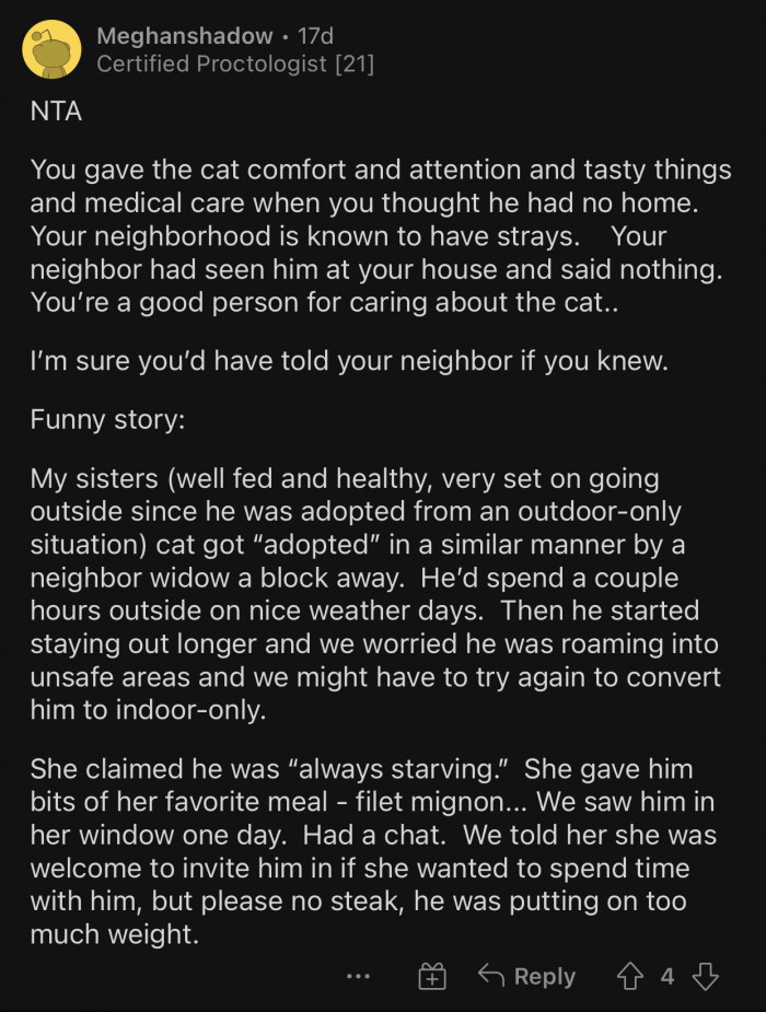 OP made sure the cat's last days were pleasant.