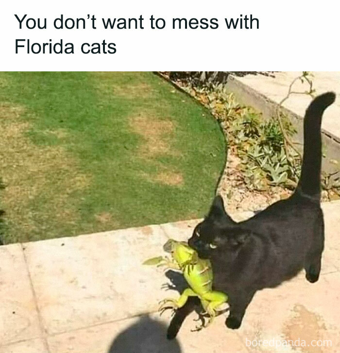 14. Do not mess with me