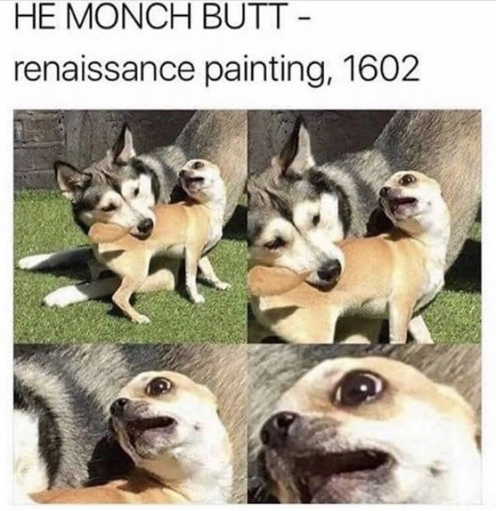 2. And it is so cute... Look at that Corgi's face