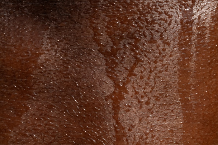 Humans gained an edge because we cool down far better than panting animals.