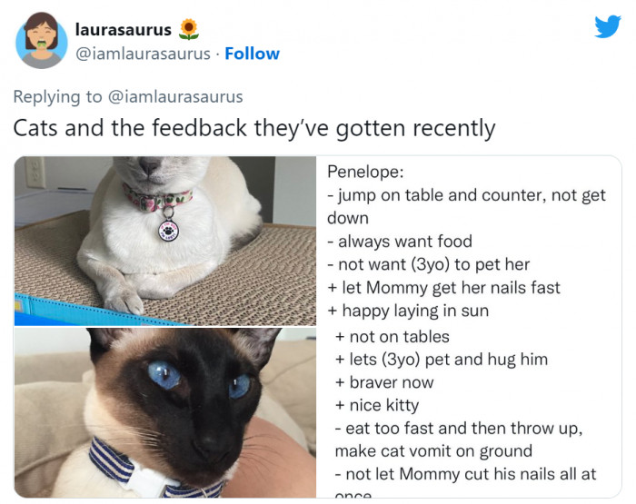 10. These are the reviews, by the way!