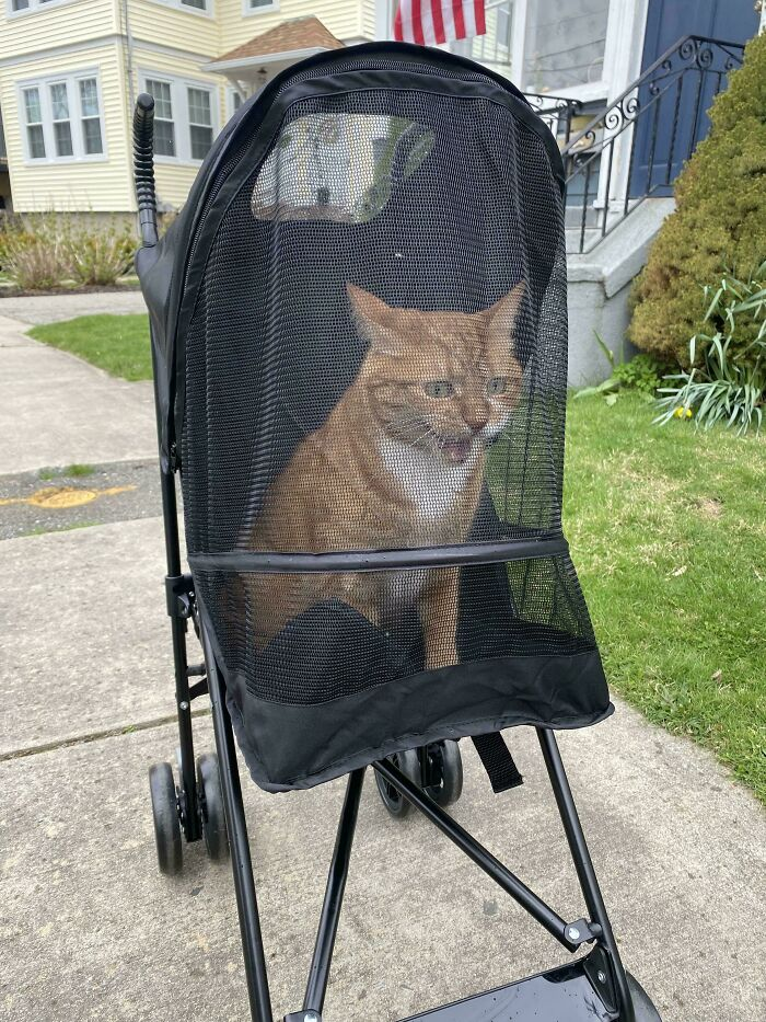 21. Looks like someone’s under house arrest with visitation privileges.