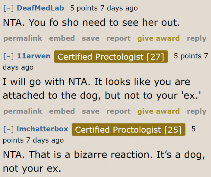 Why is she jealous of a dog?