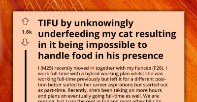 New Cat Owner Discovers Underfeeding Issue After Friend Pet Sits During Vacation