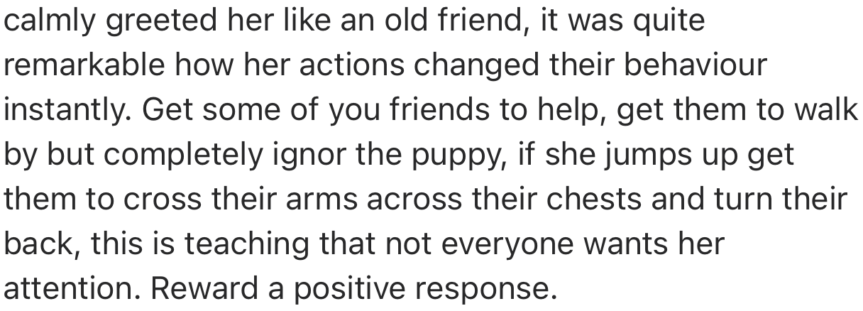 OP should also consider getting some of their friends to help with the training