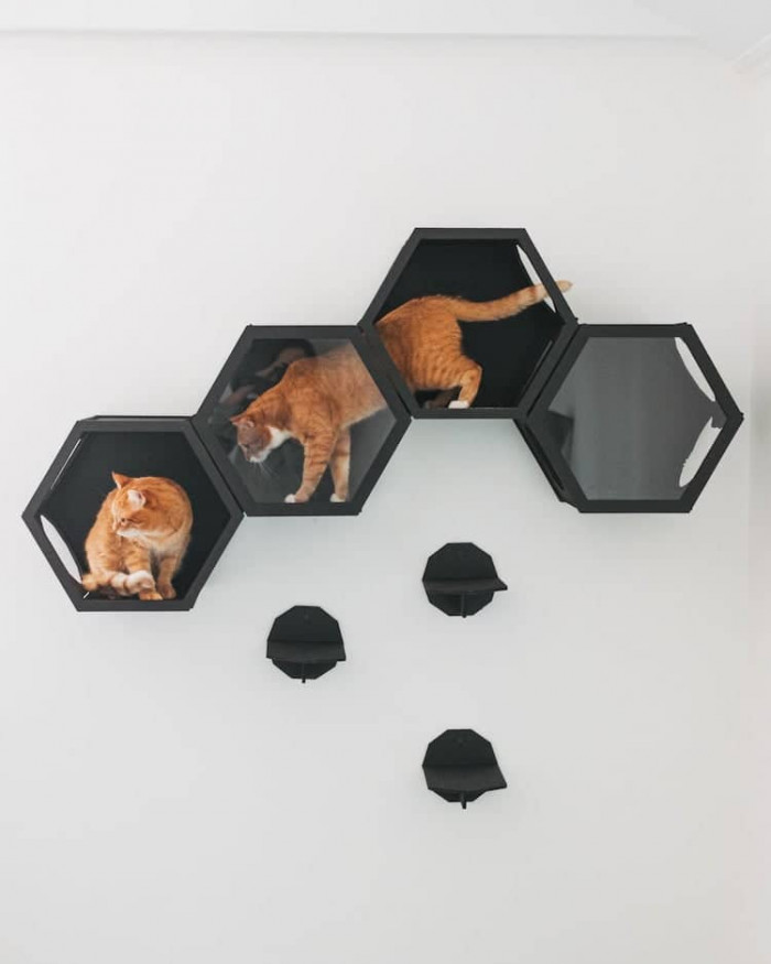 Cats Mode develops modern cat furniture that can also be used as stylish home decor.