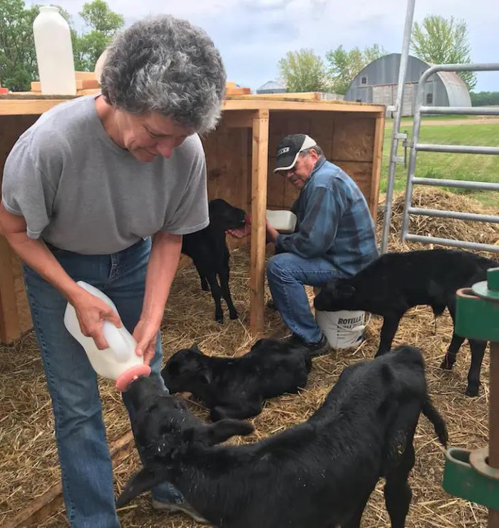 All four of the calves survived