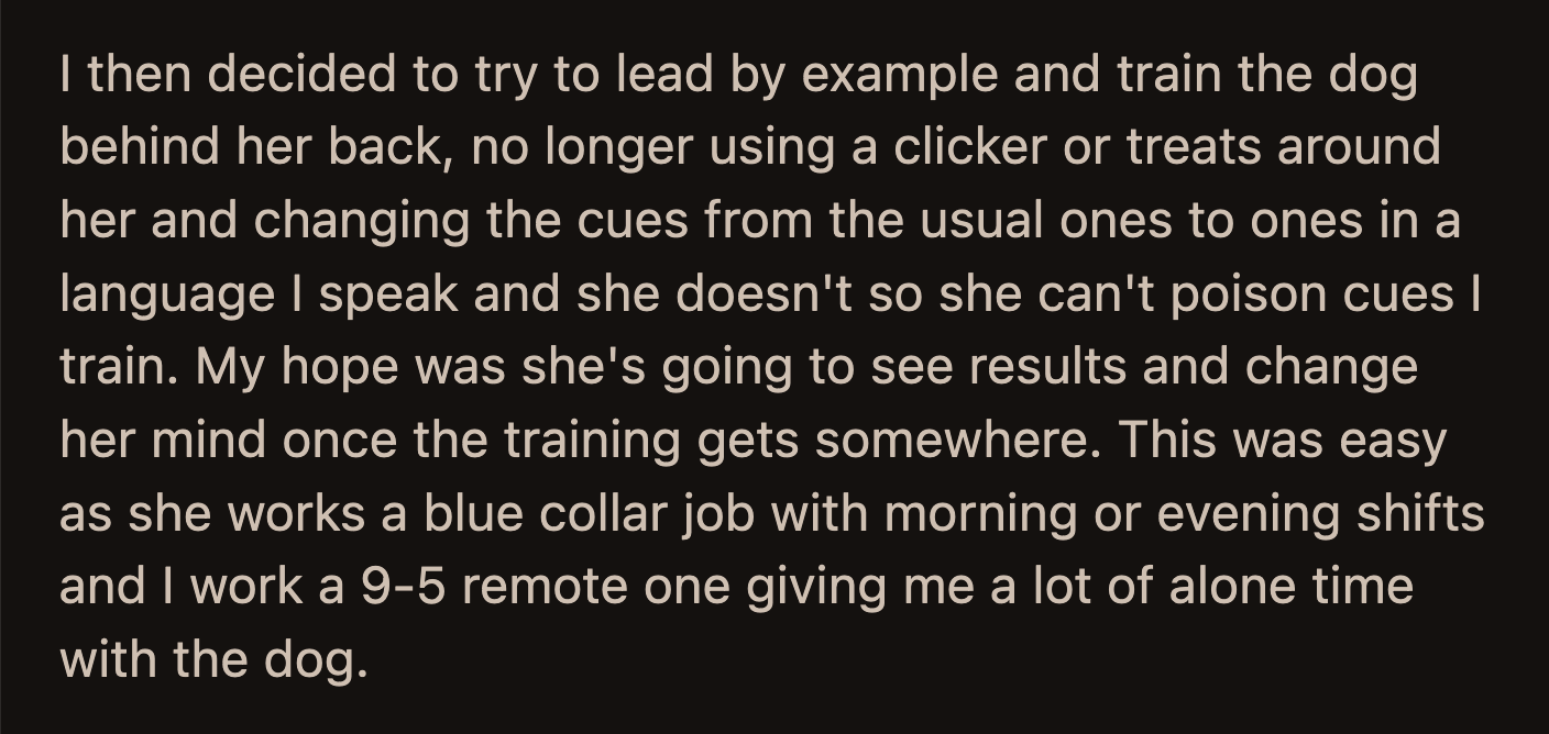 The dog was a fast learner and bonded with OP. The dog treated OP's girlfriend as the 