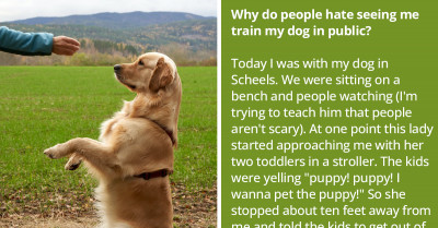 People Got Mad When OP Did Not Allow Them To Pet His Dog While Training Him In Public