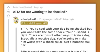 Woman Refuses to Test the Shock Collar Her Husband Bought for Their Dog; He Says They Won’t Use It Then