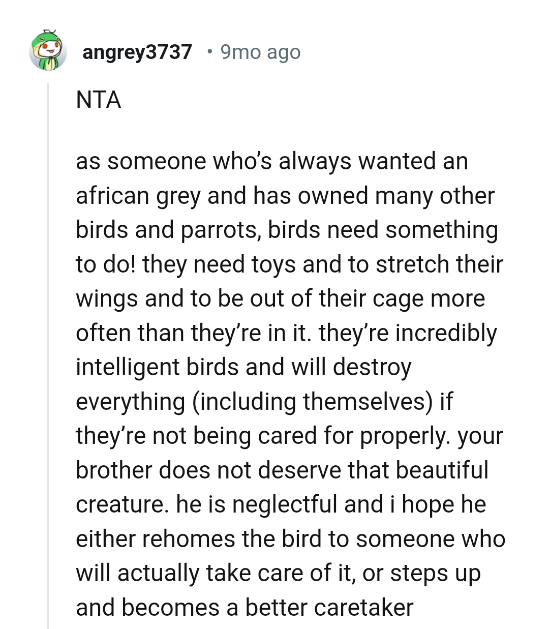 They are incredibly intelligent birds and will destroy everything...