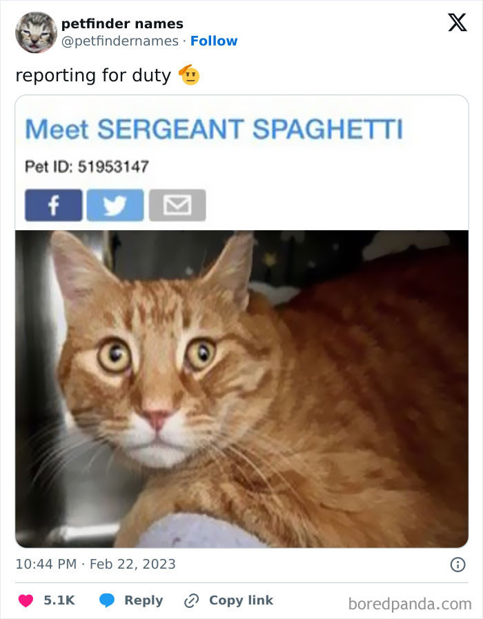 Sergeant Spaghetti