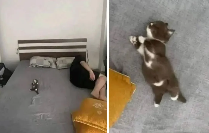 26. Authorities confirm: crime took too much energy today.