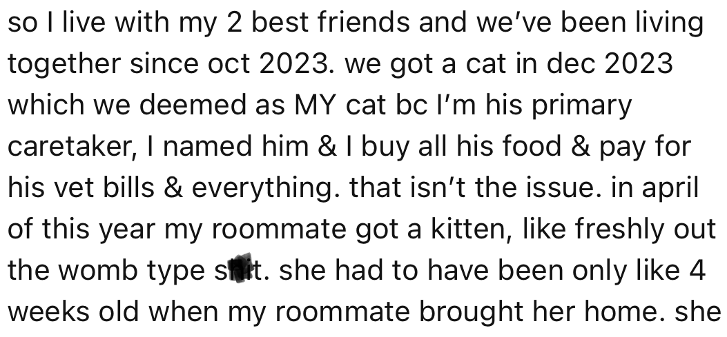 OP lives with two other friends and has a cat. Later on, his roommate also got a kitten.