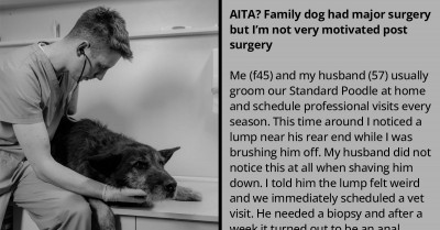 Husband Makes A Solo Decision About Surgery On A Family Dog, And Now His Wife Doesn’t Want To Help With The Post-Surgery Treatment