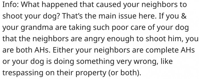 5. It seems she and her grandma can't take care of the dog properly.
