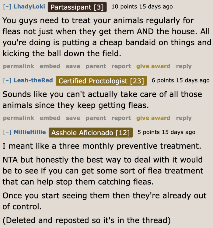 With the number of pets they have, this family finds it hard to manage the fleas.