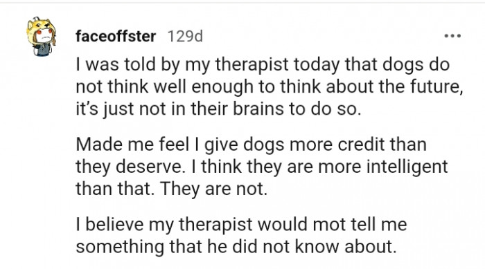 14. I give dogs more credit than they deserve