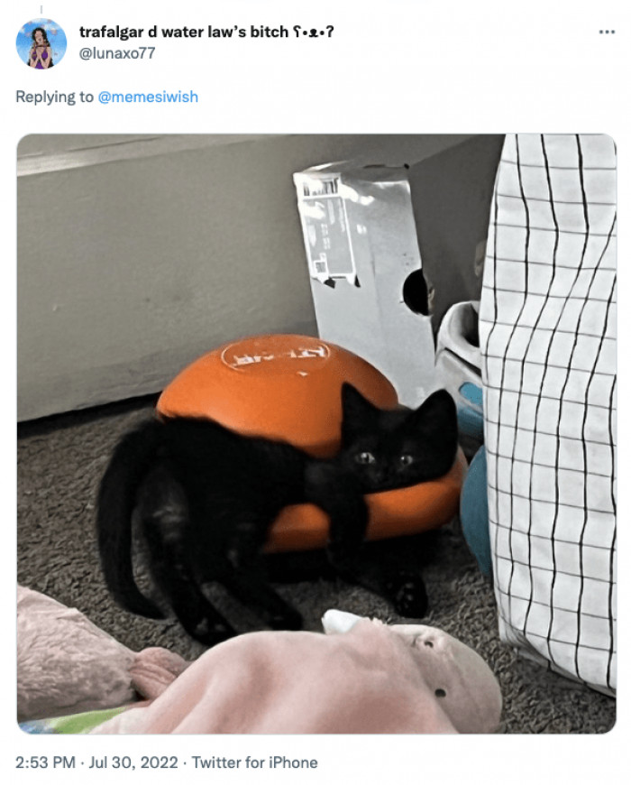 12. Just having a comfortable rest in here.