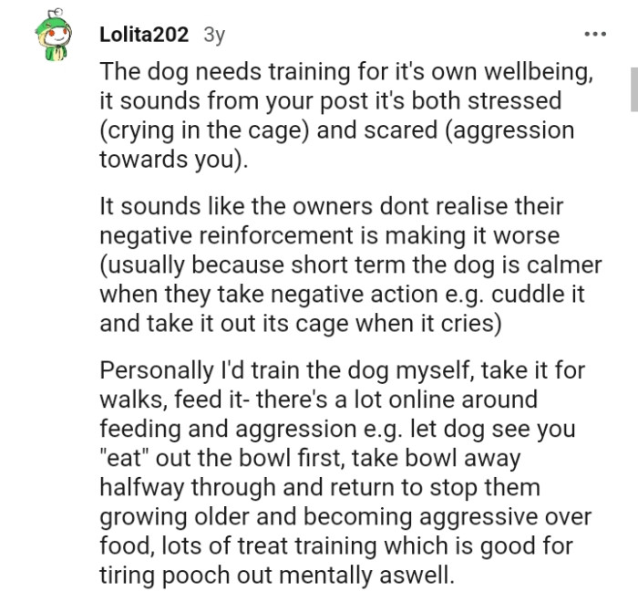 The owners don't realize that their negative reinforcement is making it worse
