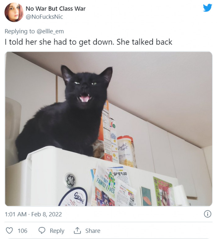 15. No one should question anything about them—they're untouchable.