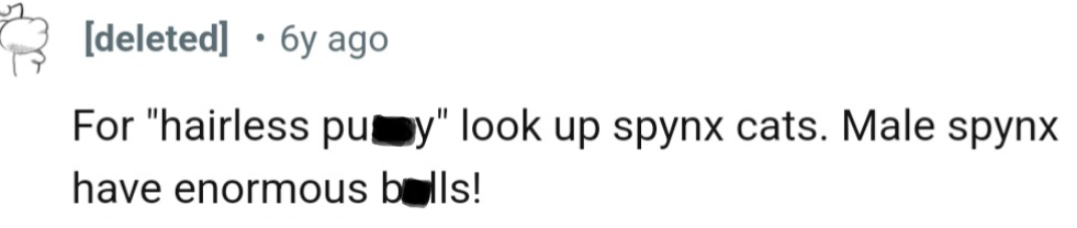 The number of “male sphynx cats” searches on Google will definitely go up soon