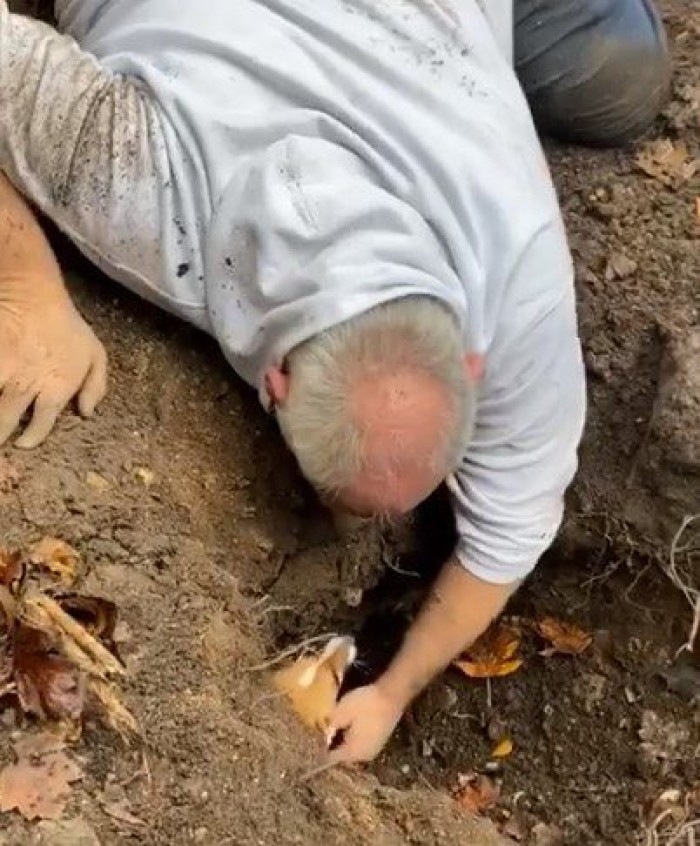 The puppy disappeared after being pursued by another dog.