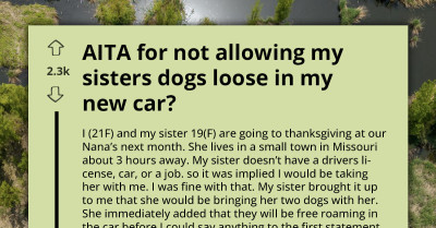 Sister Demands to Let Her Dogs Roam Free in Her Sister’s Brand-New Car and Gets Left Behind